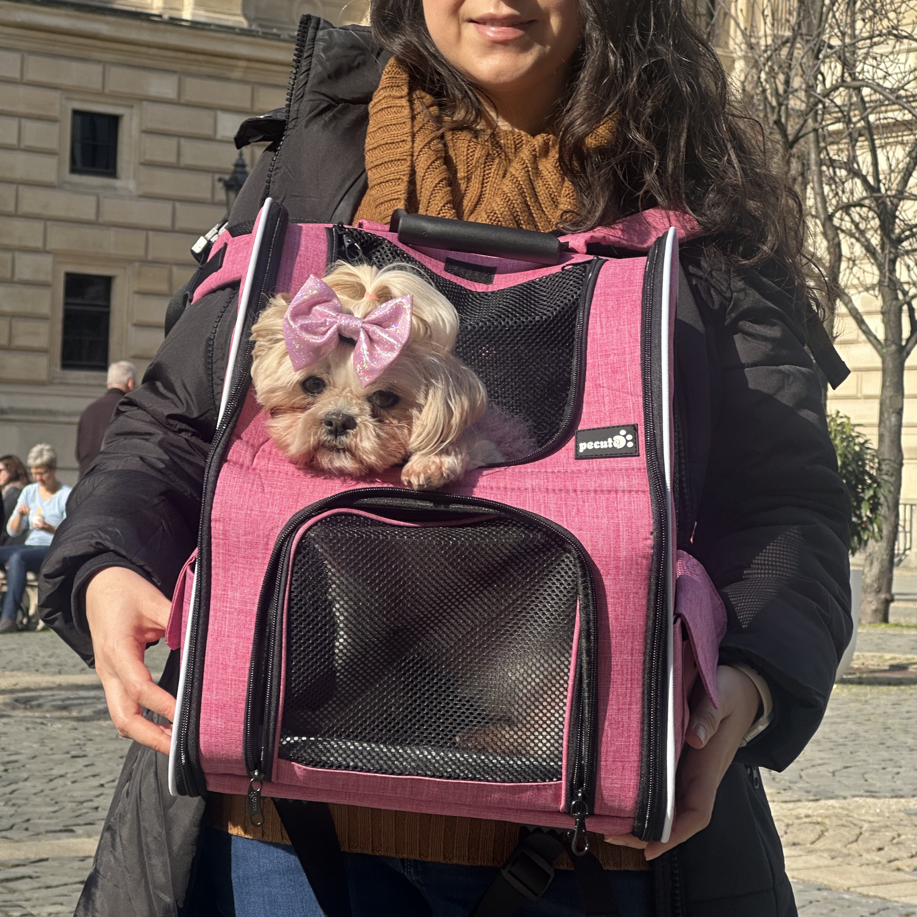 Pecute Cat Carrier Dog Backpack Expandable (Pink)