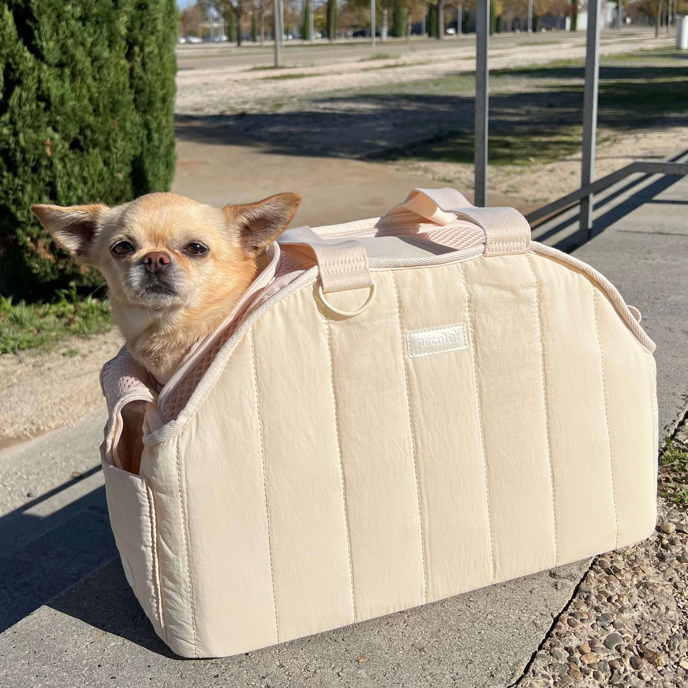 Pecute Ultra-Light Stylish Pet Shoulder Handbag Cat Carrier Bag