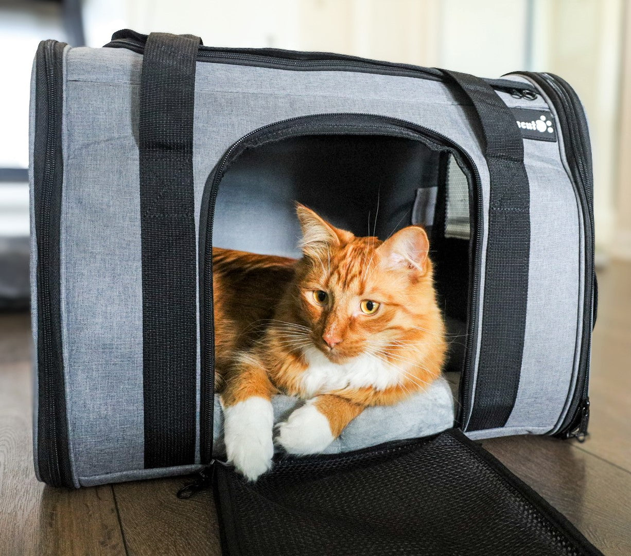 Pecute® Sac de transport pour animaux de compagnie grand, sac à main de transport pour chat