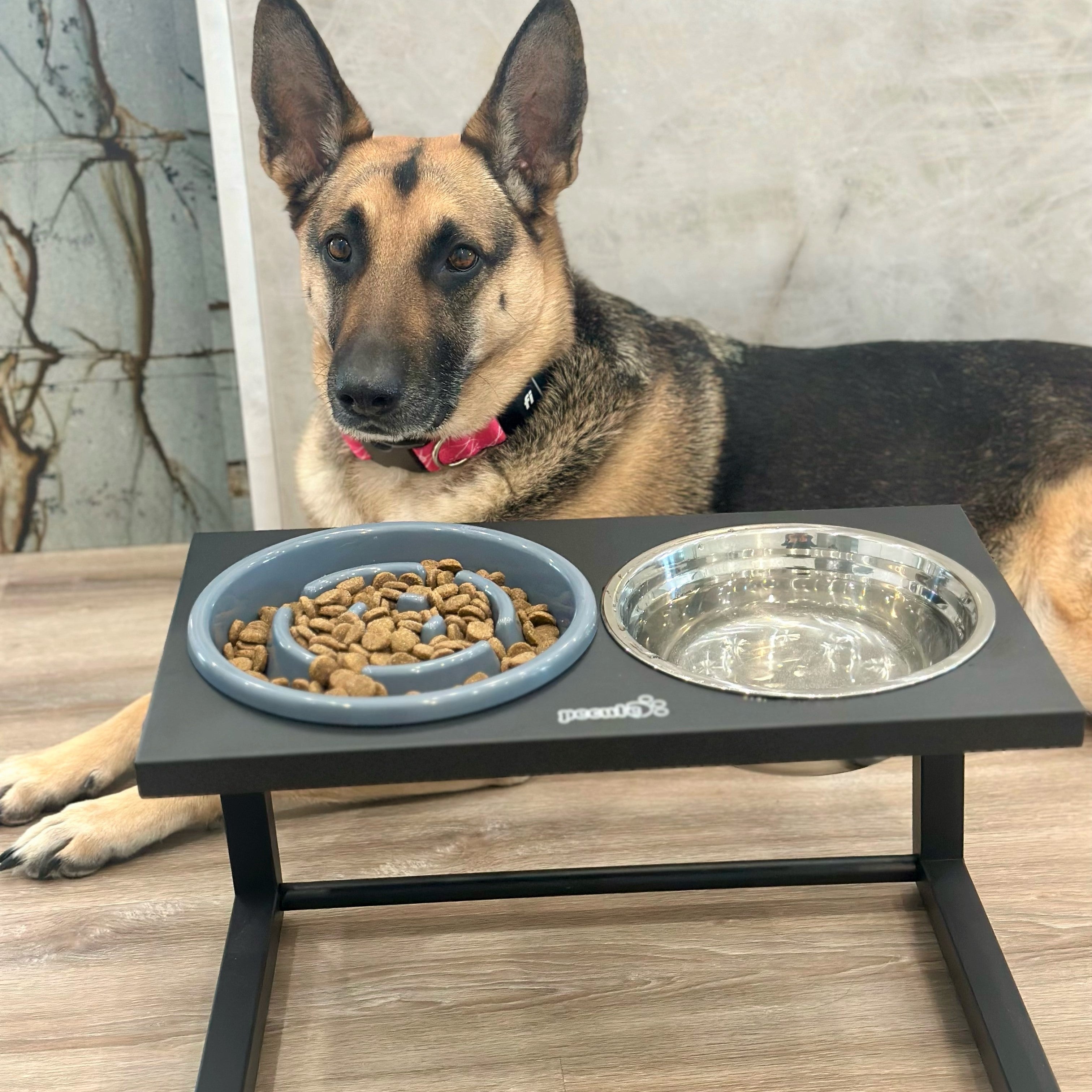 Pecute Raised Dog Slow Feeder Bowl Set