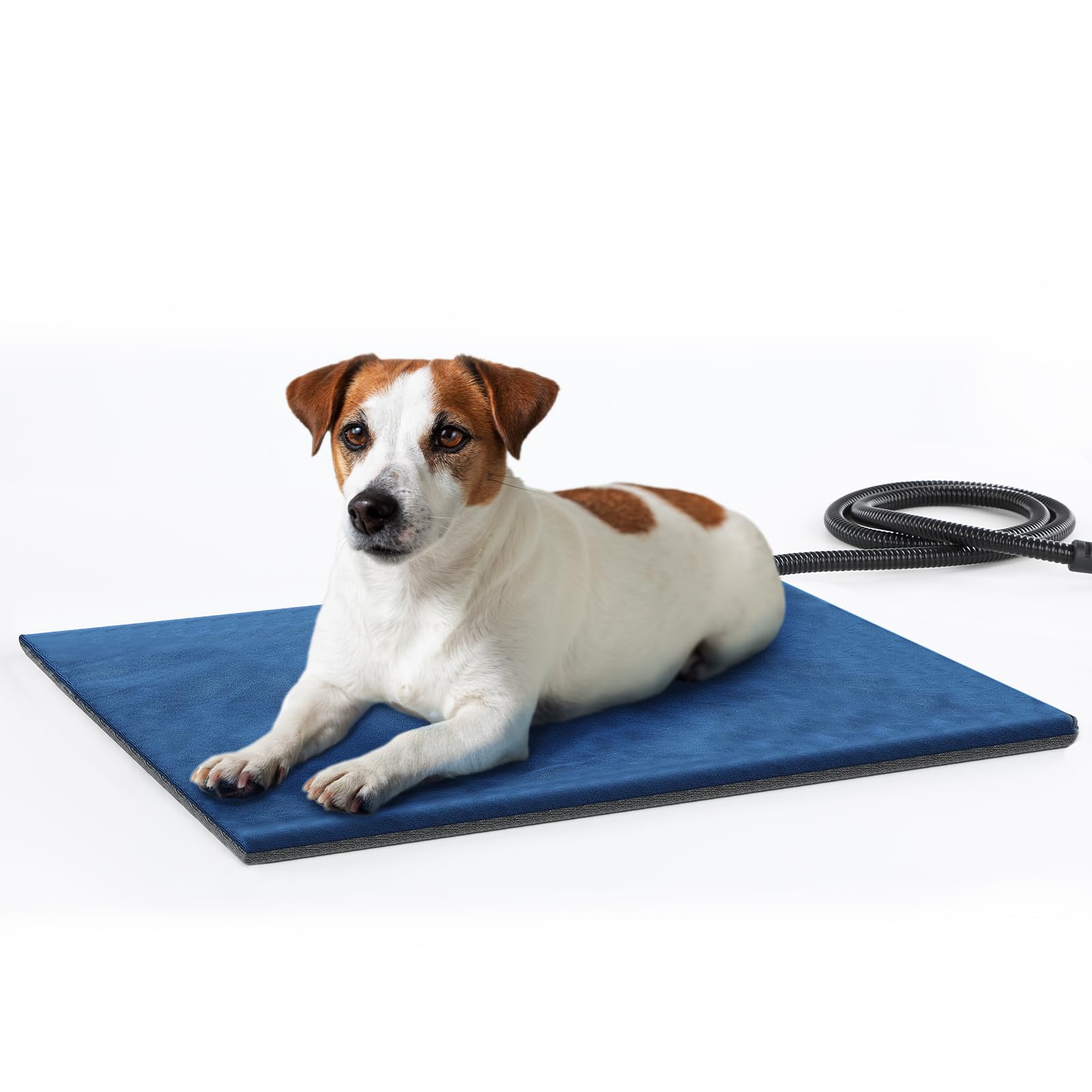 Pecute – coussin chauffant pour animaux de compagnie, coussin chauffant constant, sûr et électrique