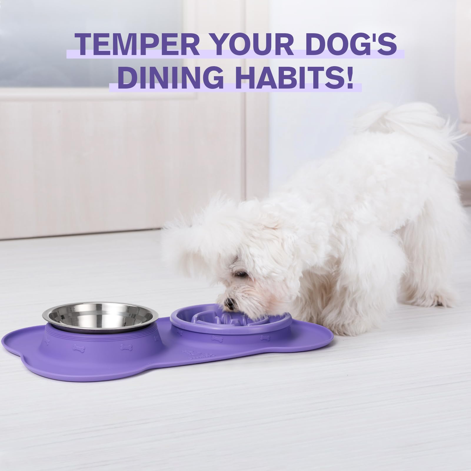 Pecute 3 in 1 Slow Eating Dog Bowls with Non Slip Mat