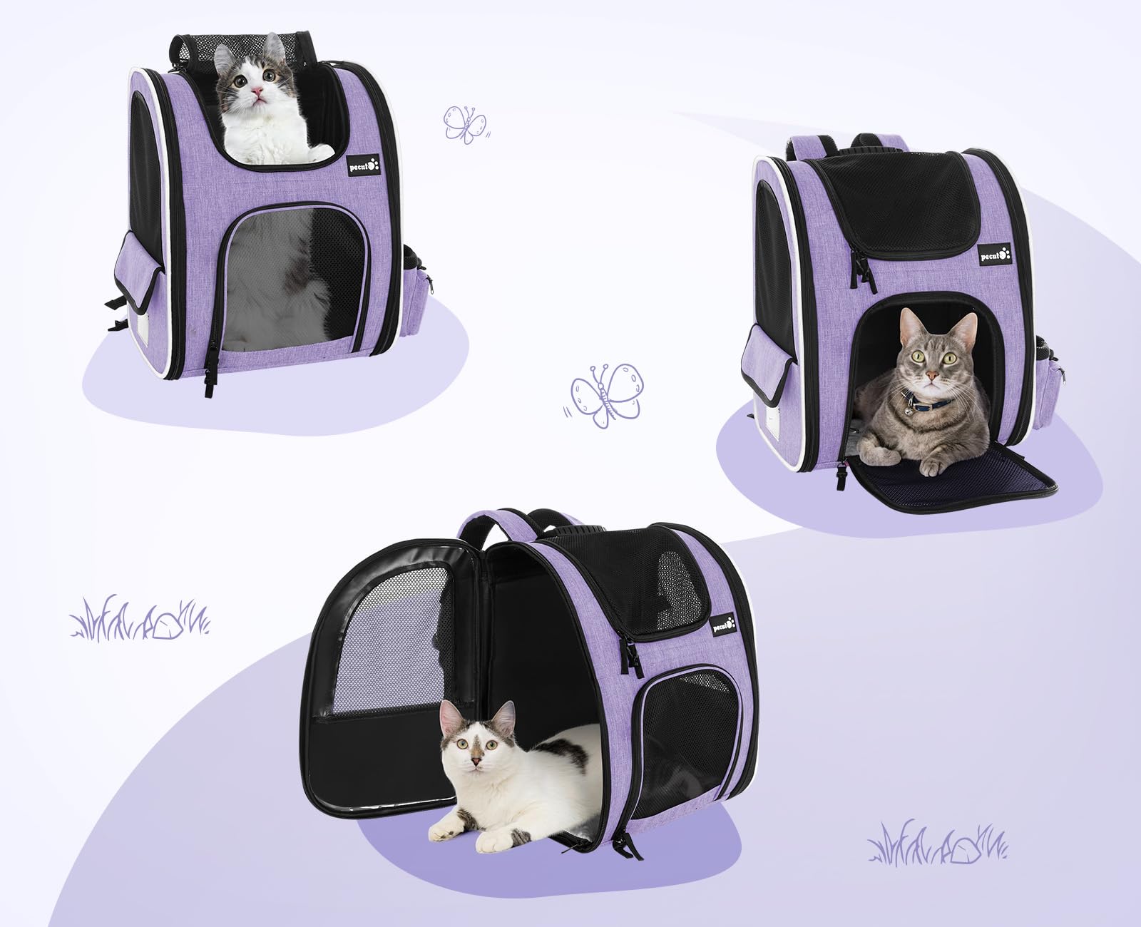 Sac à dos pour chien Pecute Cat Carrier, sac à dos respirant portable