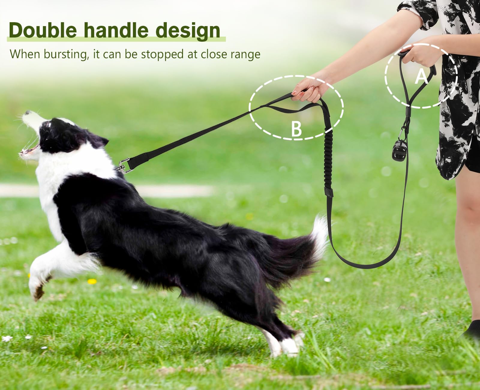 Pecute Dog Lead with Poo Bag Holder