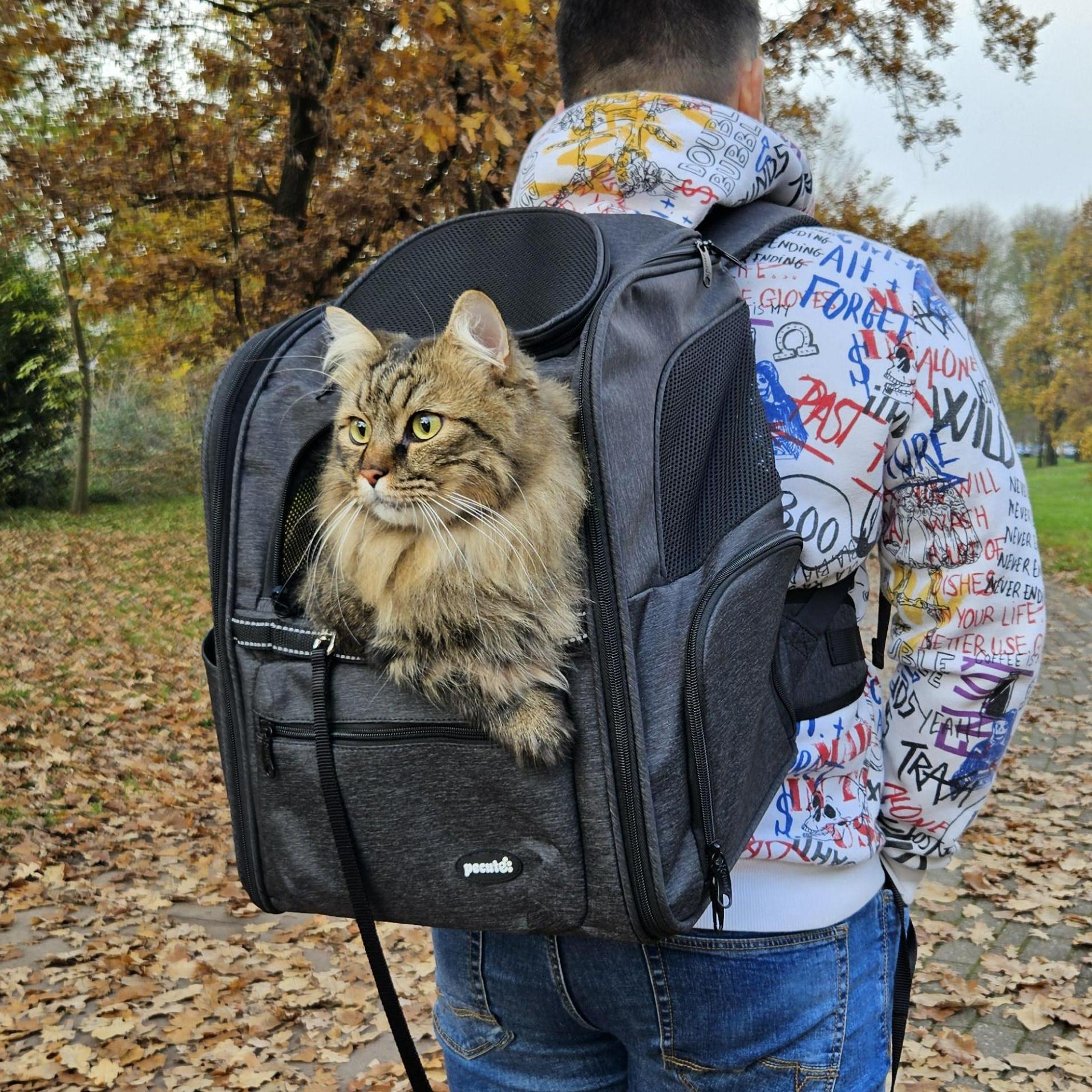 Pecute Suspended Anti-Gravity Weight-Reducing Pet Backpack