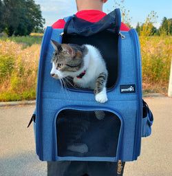 pecute Sac de transport pour chat et chien (gris vert)