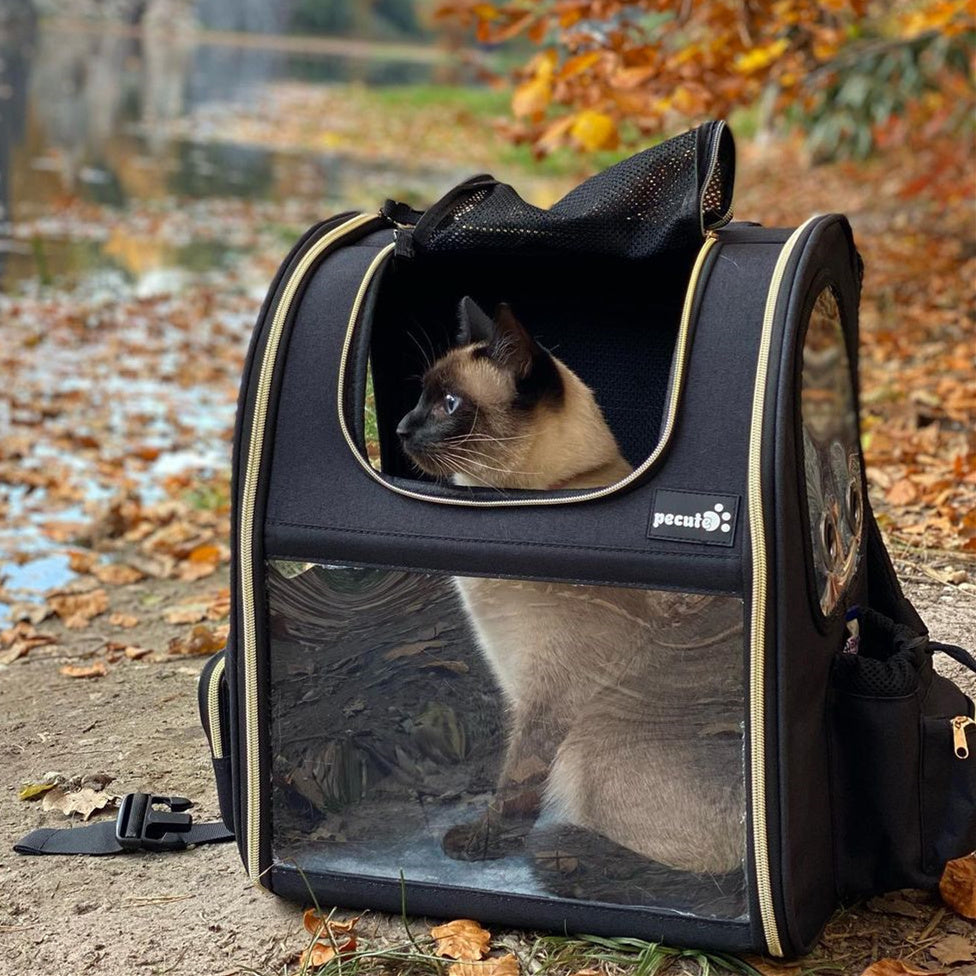 Pecute Expandable Portable Breathable Rucksack Cat Carrier Dog Backpack