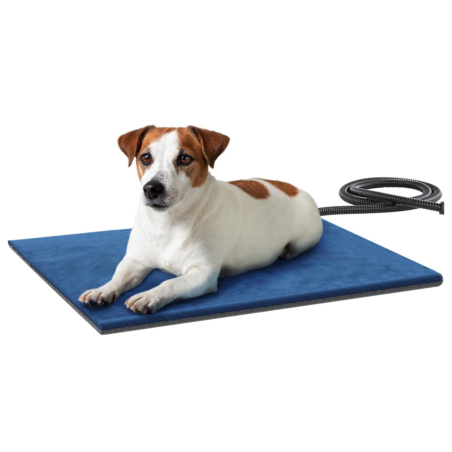 Pecute Updated Pet Heat Pad Constant Heating Pad Safe Electric