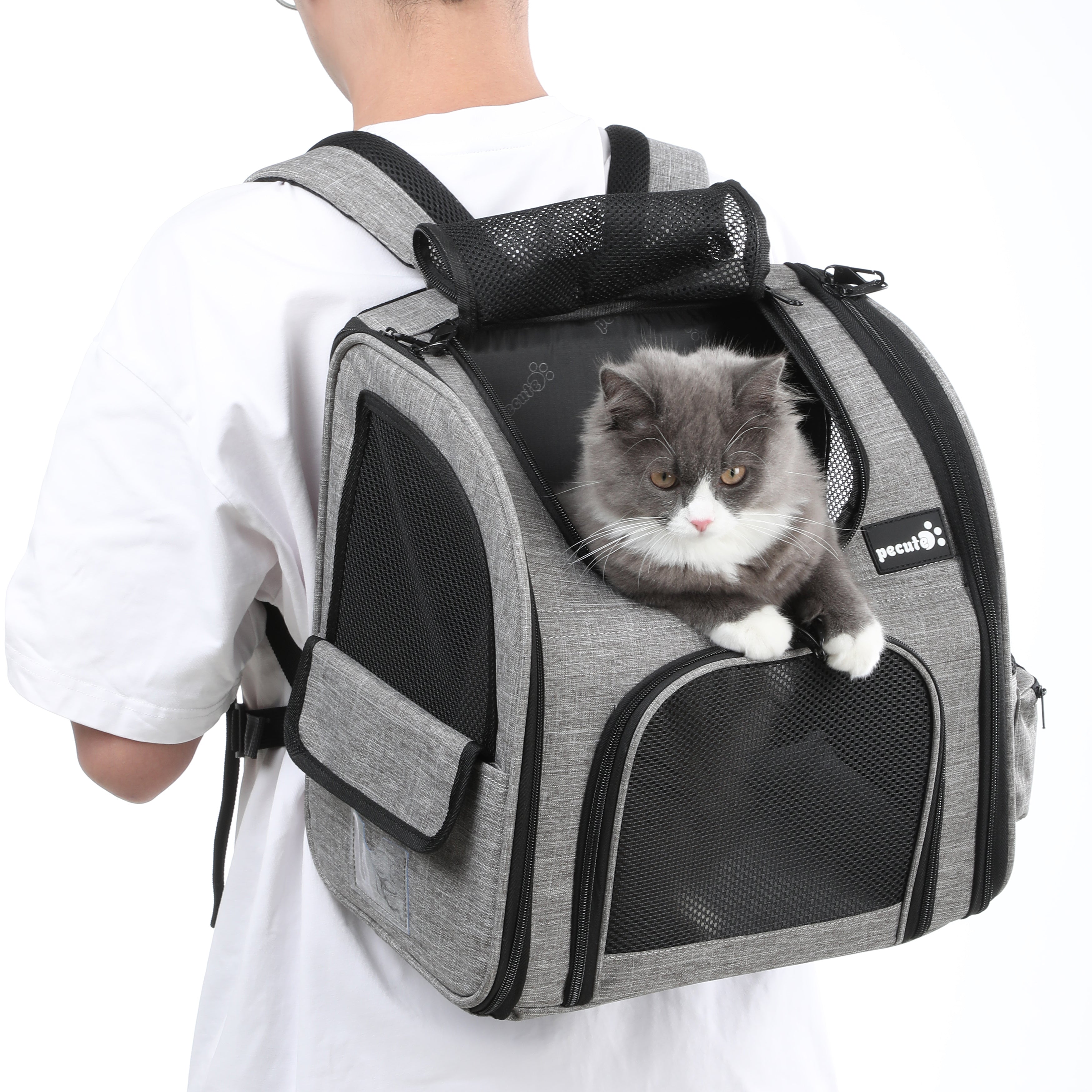 Pecute Cat Carrier Dog Backpack (Grey)