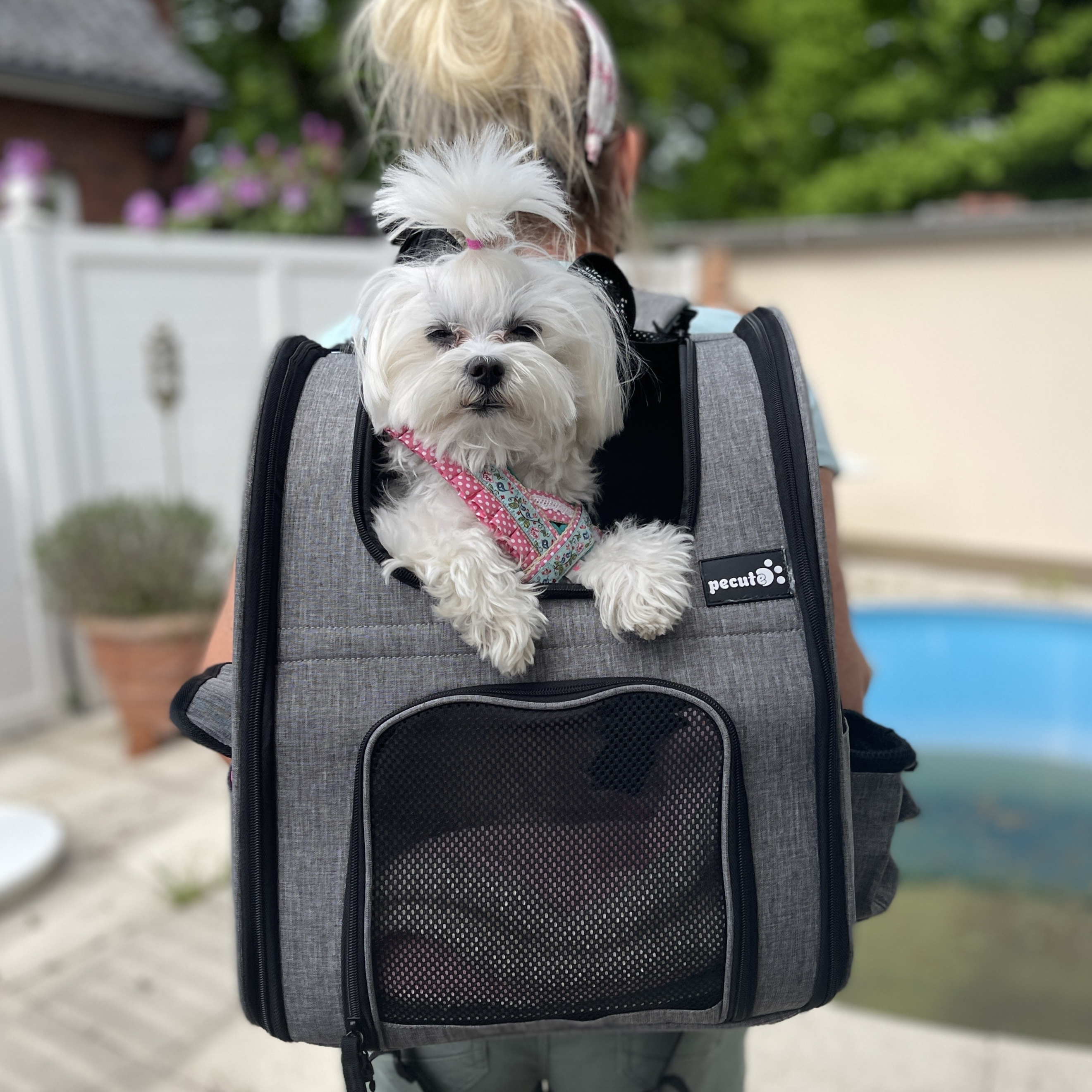 Pecute Cat Carrier Dog Backpack (Grey)