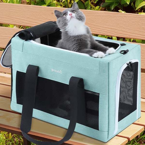 Pecute Cat Handtasche, quadratisch, mit integriertem Rahmen