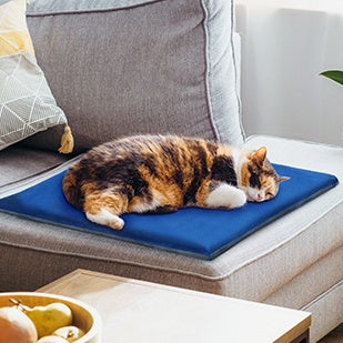 Coussin chauffant pour animaux de compagnie Pecute sécurité de chauffage à température constante électrique