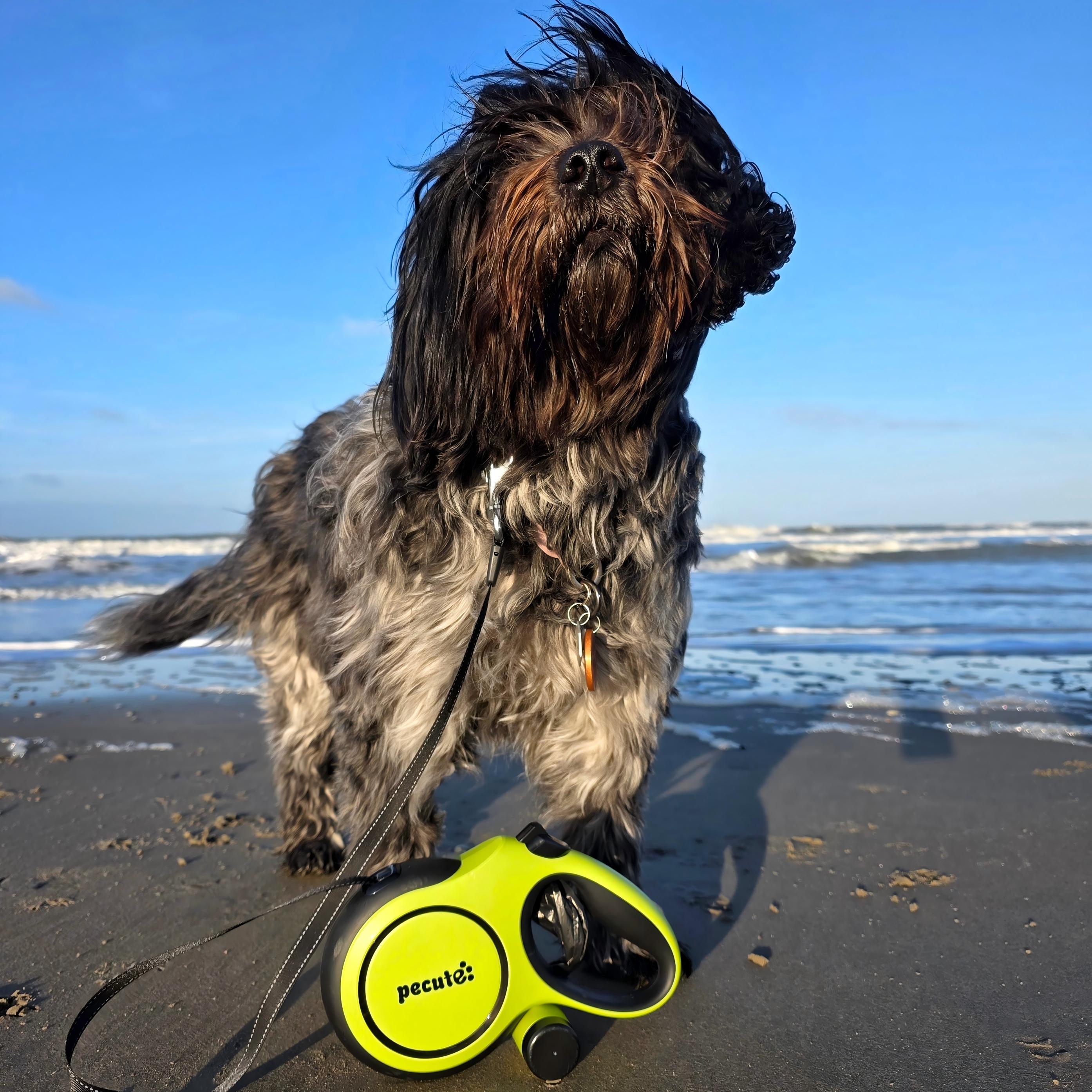 Pecute 8m/26ft Dog Lead Retractable Dog Leash with Poo Bag Holder