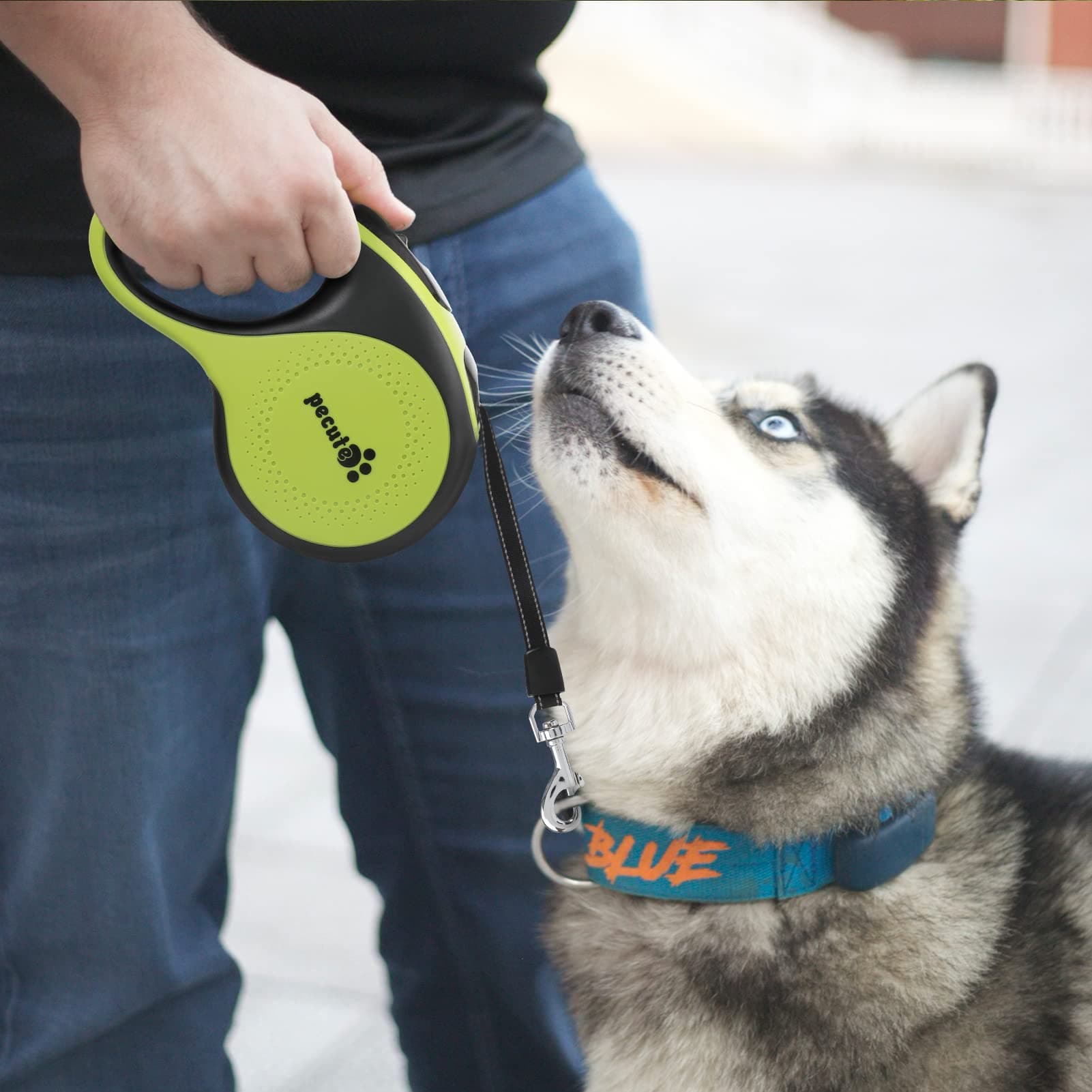 Pecute Retractable Dog Leash with Rechargeable LED Light.