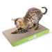 Pecute Cat Scratching Boards Replacement 2 Pack.