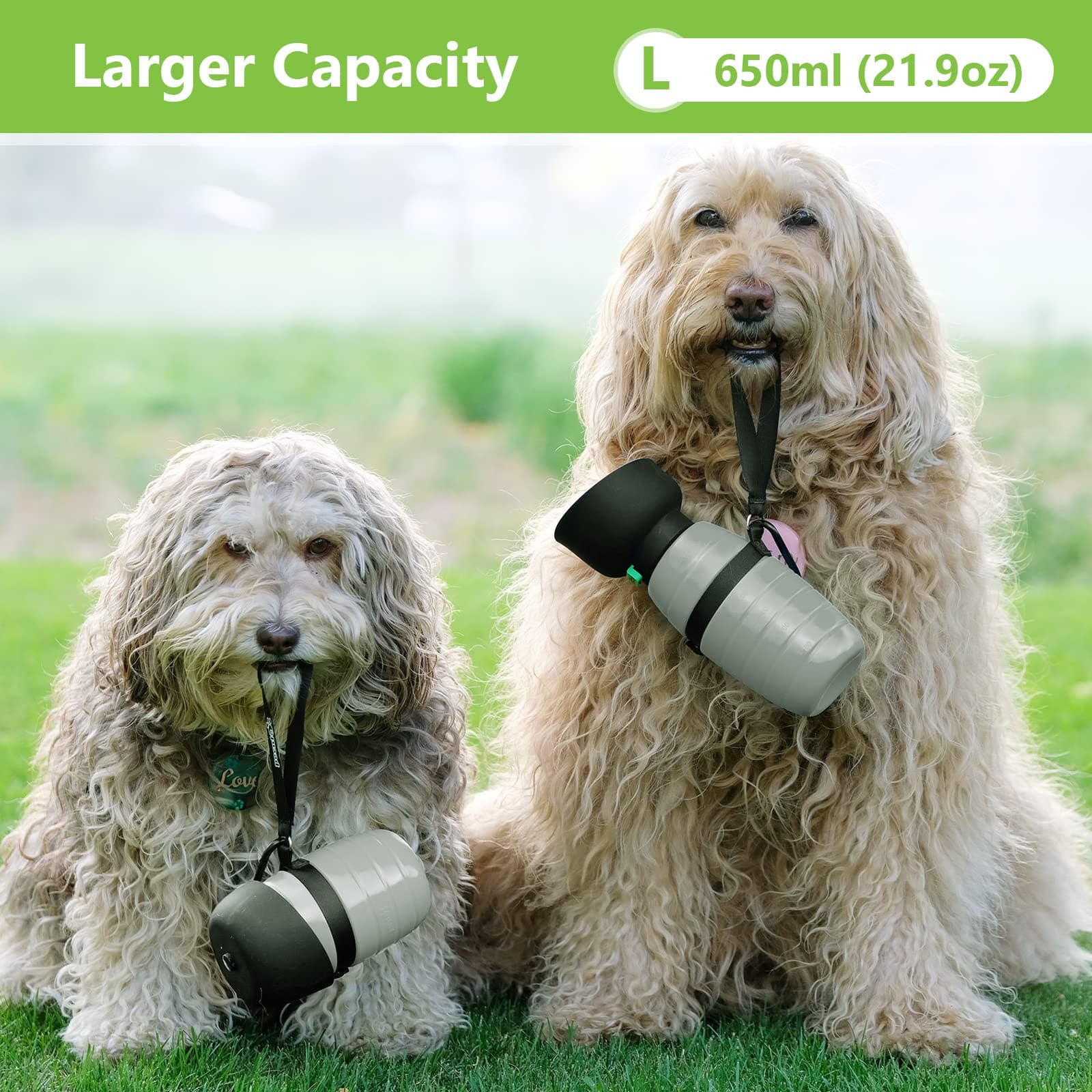 Pecute 500ml Dog Water Bottle (Grey).