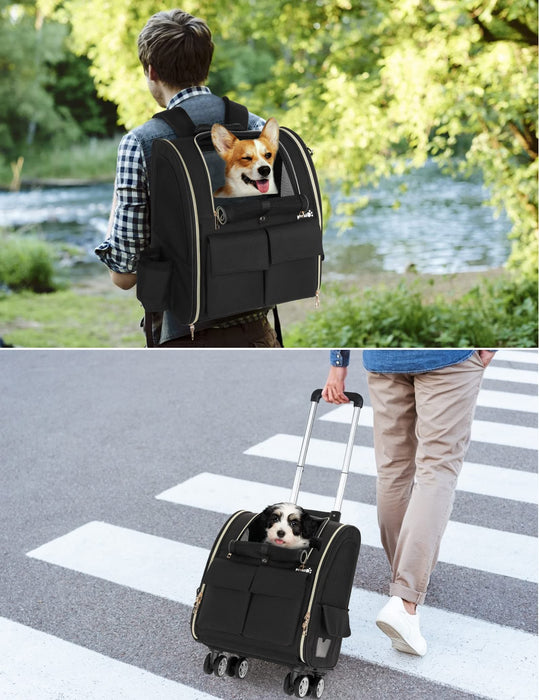 Pecute Pet Rolling Carrier Four upgraded wheels (Black).