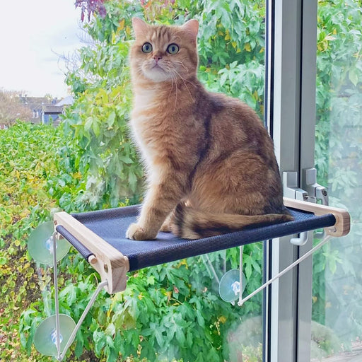 Breathable Mesh Cat Window Perch for Window.
