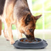 Pecute Slow Eating Dog Bowl with Non Slip Mat.