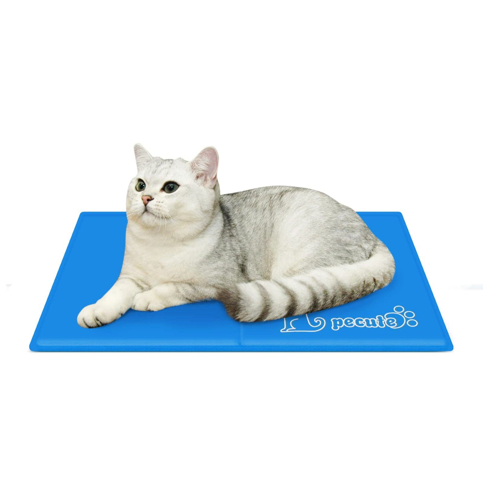 Pecute Dog Cooling Mat Blue（L）.