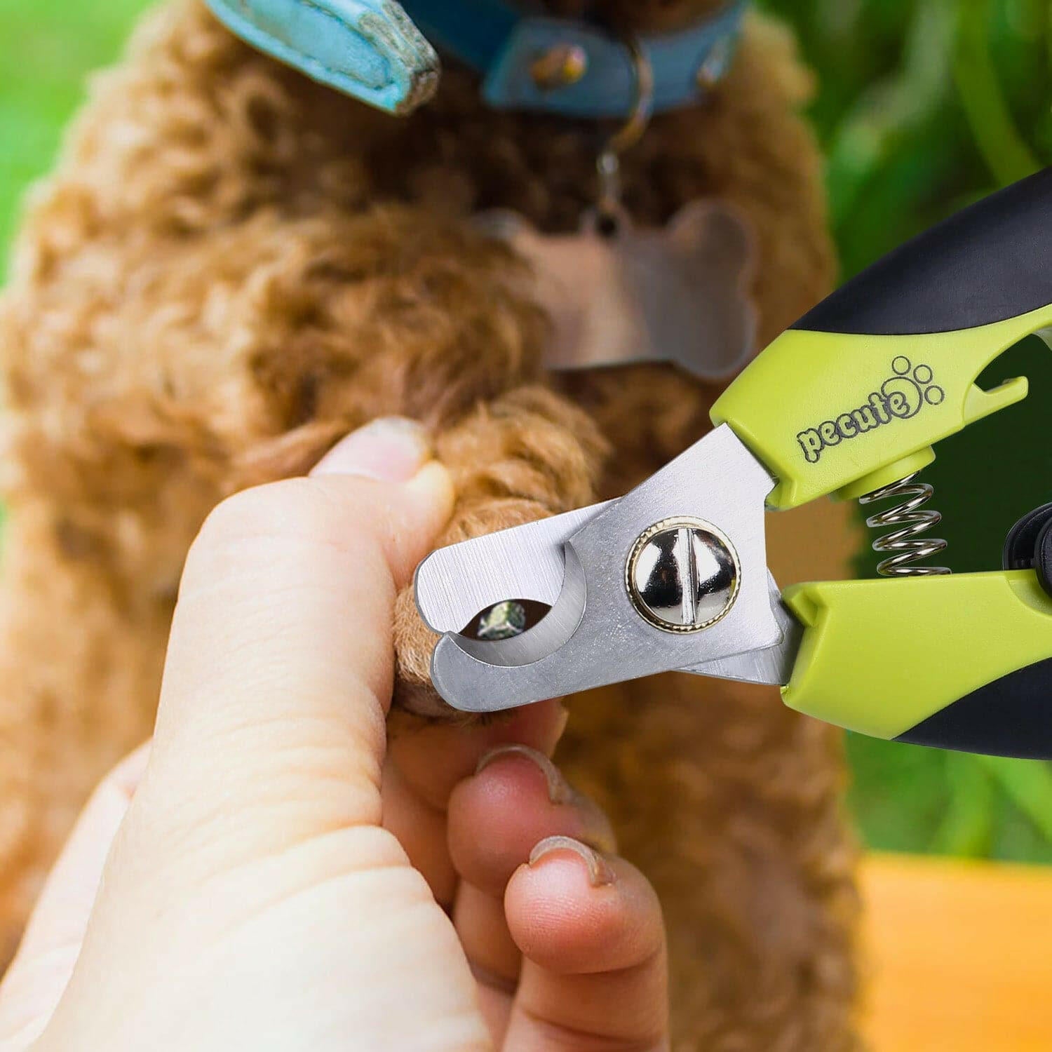 pecute Dog Nail Clippers Professional Sharp Stainless Steel Pet Nail Trimmers.