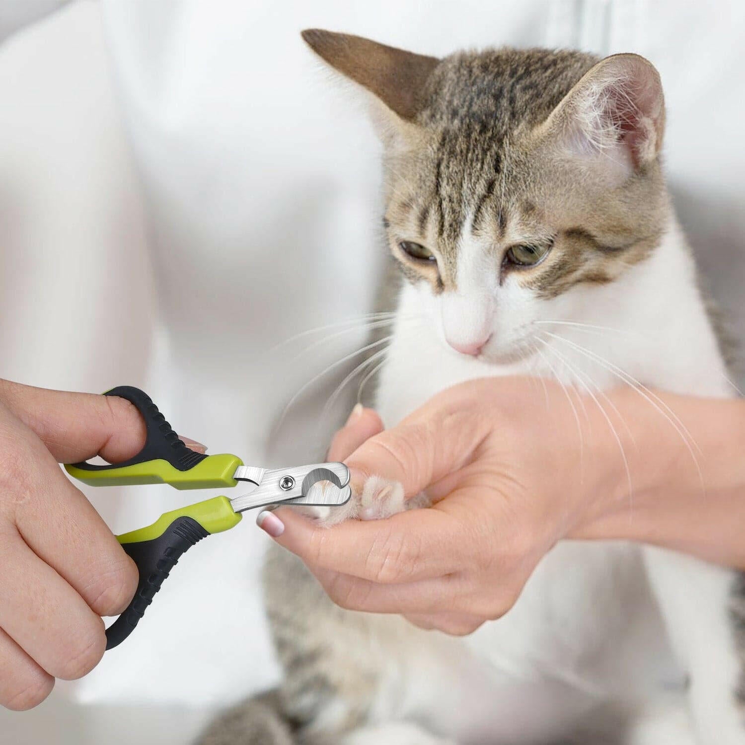 Pecute Stainless Steel Cat Nail Clippers.