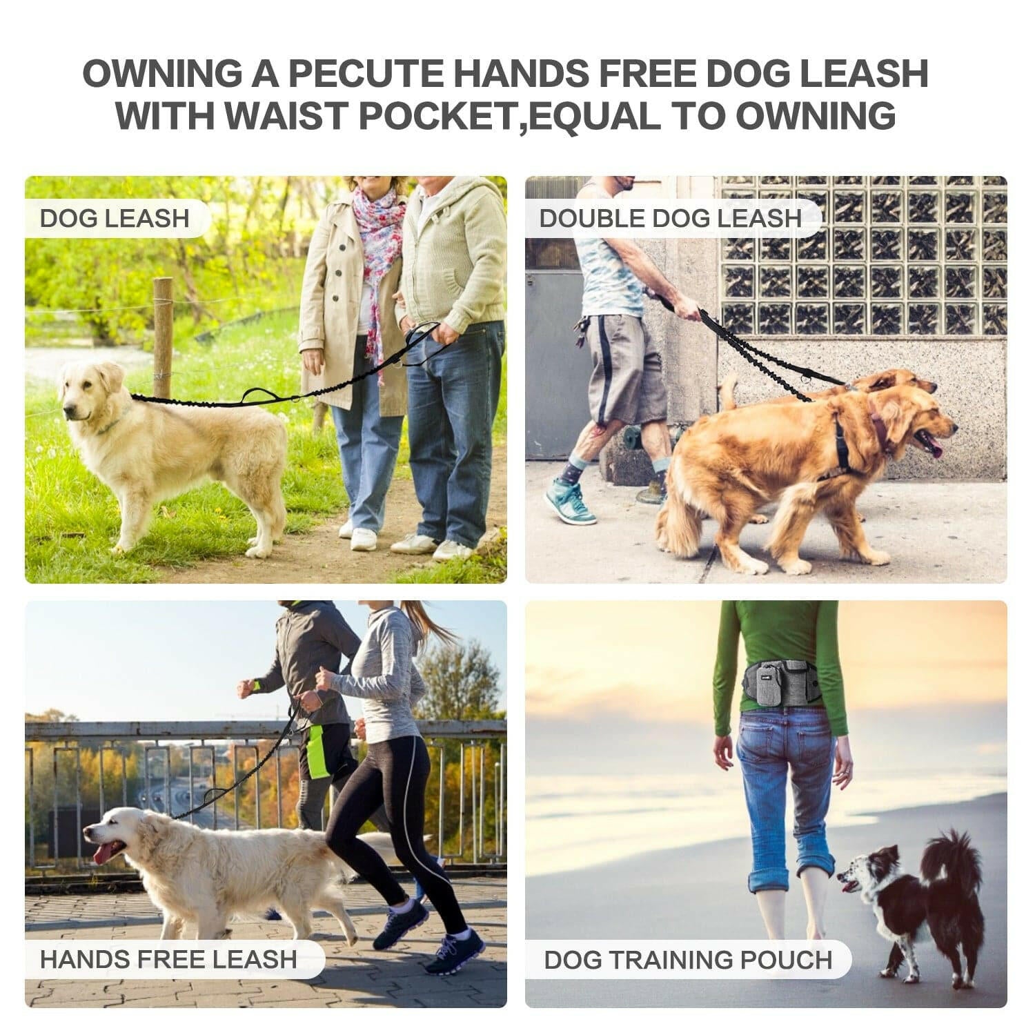 Pecute Wide Waist BagHands Free Dog Running Leads.