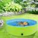 Pecute Green Dog Paddling Pool（XL）.