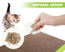 Pecute Cat Scratching Boards Replacement 2 Pack.