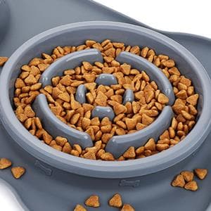 Pecute Slow Feeder Bloat Dog Bowl (500ml).