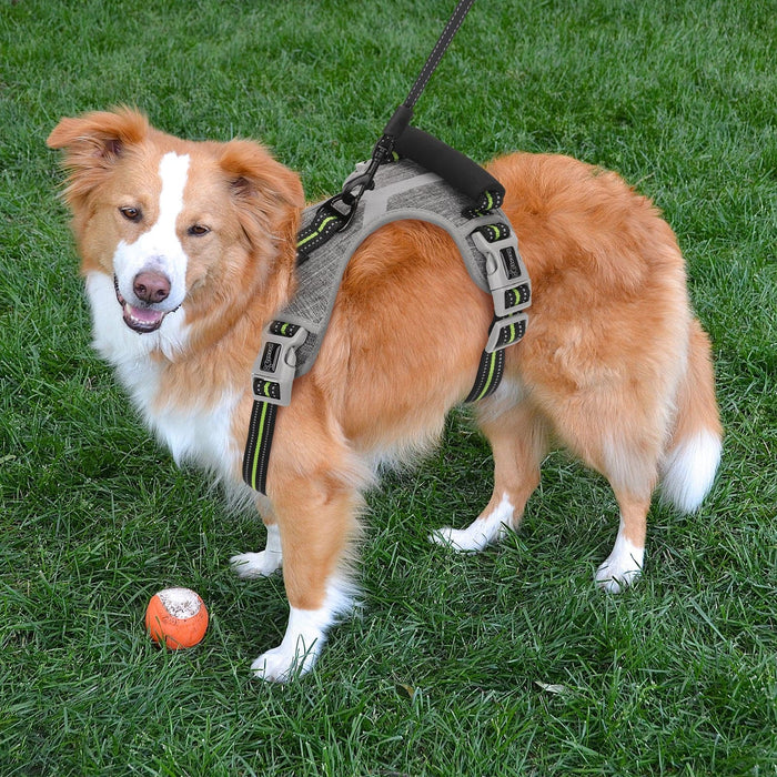 Pecute Dog Harness, Breathable Adjustable Comfort Free Leash.