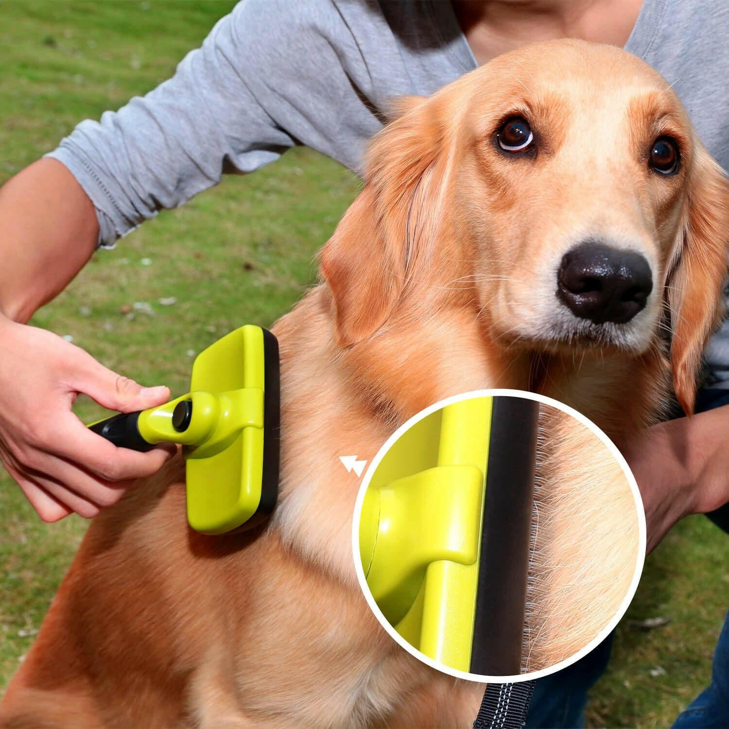 Pecute Self Cleaning Pet Grooming Brush.